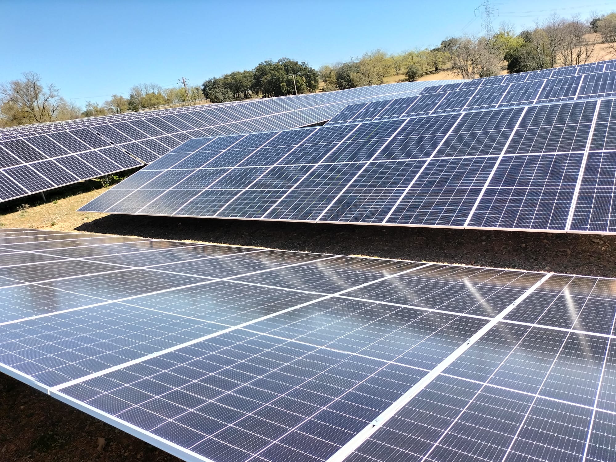 WhatsApp Image 2024-11-18 at 09.36.55